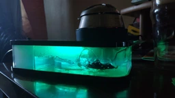 Кальян Capsule 21370 фото от покупателей 1