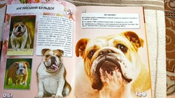 Світ навколо нас. Собаки (9789669367488)