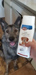Шампунь Trixie 29198 Skin Care 250 мл (4011905291987)