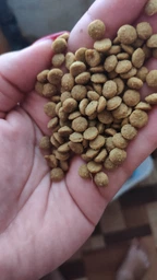 Сухий корм з лососем Nature's Protection Mini Extra Salmon Adult Small Breeds Натюр Протекшн для собак малих порід 7,5 кг (4771317457387)