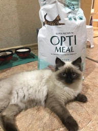 Сухой корм для котят Kitten Chicken курица 1 кг Optimeal фото от покупателей 17
