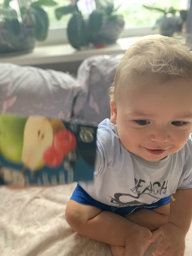 Фруктове пюре Gerber Яблуко, груша, малина, чорниця з 6 місяців 90 г (7613036345484) фото від покупців 14