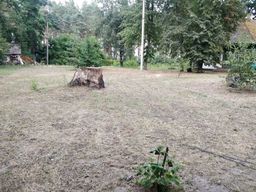 Газонокосарка електрична Greenworks GLM1241 (2505207) фото від покупців 4