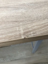 Компьютерный стол Ferrum-decor Курт 75x100x70 серый ДСП Белое 32мм