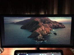Монитор 29" LG UltraWide 29WL500-B фото от покупателей 4