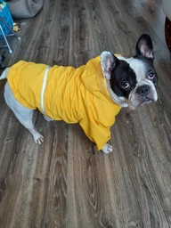 Куртка-дощовик для собак Noble Pet Moss Blue 7XL (M4106/7XL)