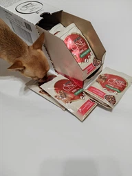 Вологий корм для собак малих порід Purina One з яловичиною картоплею та морквою в підливці пауч 85 г 1 шт (8445290298287) фото від покупців 1