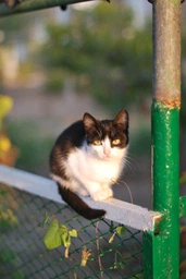 Nikon 50mm f/1.4 G AF-S Nikkor фото від покупців 4