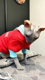 Кофта для кота или кошки Style Pets sp-red0819/l S фото от покупателей 9