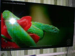 Телевизор Thomson 50UE6400 фото от покупателей 11