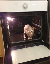 Духова шафа Gorenje BO 76 SYW фото від покупців 15