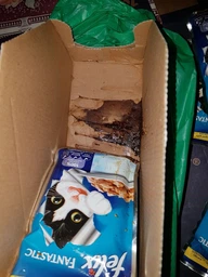 Влажный корм Felix для кошек (с курицей в желе) ТМ "Purina One" 85 г (90840) фото от покупателей 3