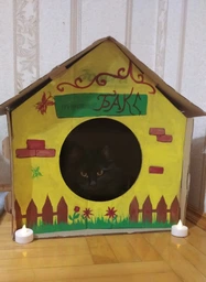 Сухий повсякденний корм Josera DailyCat з куркою для котів 10 kg