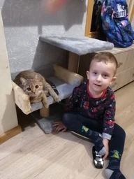 Когтеточка столбец на подставке с полкой и диваном 30*38*50 см Пухнастик шоколад/беж (джут)