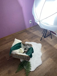 Набор студийного света с зонтом Prolighting PLAS 83 translucent Kit-1
