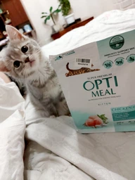 Сухой корм для котят Kitten Chicken курица 1 кг Optimeal фото от покупателей 16