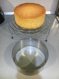 Форма розсувна CAKE RING 8 см (612LC) Кругла фото від покупців 2