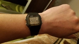 Чоловічий Наручний Годинник CASIO W-800HG-9A фото от покупателей 2
