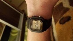 Чоловічий Наручний Годинник CASIO W-800HG-9A