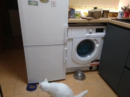 Пральна машина Whirlpool WDWG75148EU фото от покупателей 6