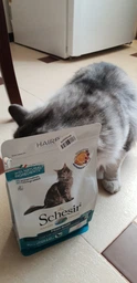 Сухий монопротеїновий корм для котів з довгою шерстю Schesir Cat Hairball 400 г (ШКВВШ0.4) фото від покупців 2