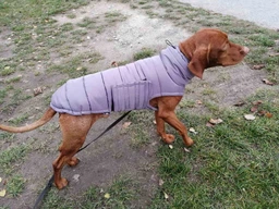 Пуховик Noble Pet Bobby Navy M (B4118/M)
