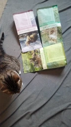 Сухой корм Carpathian Pet Food Pregnant для беременных и лактирующих кошек , 1 кг фото от покупателей 3