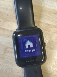 Смарт-годинник Amazfit Bip Cinnabar Red (UYG4022RT) фото від покупців 11
