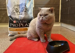 Сухий корм для кішок Purina Pro Plan Elegant Adult 1+ з лососем 1.5 кг (7613036529150) фото від покупців 15