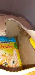 Консервований корм Purina Friskies для котів з тунцем, шматочки у підливці. 85 гр. х 20 шт. фото від покупців 3