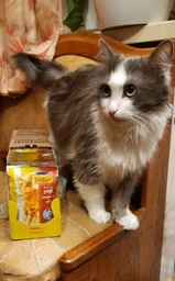 Вологий корм для котів Friskies Яловичина в підливі 100г фото від покупців 1