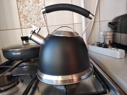 Чайник Ardesto Black Mars 2,5 л нержавіюча сталь зі свистком (AR0747KS)