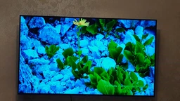 Телевизор Samsung UE50TU8000UXUA фото от покупателей 9