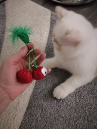 Іграшка для котів Petstages Dental Cherries (0700603678339)