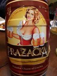 Пиво Prazacka светлое фильтрованное 4% 5 л (8594053490489) фото от покупателей 9