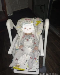 Стільчик для годування BABY TILLY Bistro T-641/2 Rose /1/