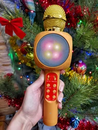Бездротовий караоке мікрофон з колонкою Bluetooth Wster WS-1816 червоний (FMV115)