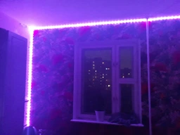 Комплект 3528 RGB 5м - світлодіодна стрічка з пультом та блоком живлення. Триколірна ( SMD 3528 ) фото від покупців 4