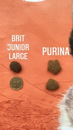 Сухий корм з куркою Purina Dog Chow Пуріна Дог Чао для активних собак 2,5 кг (7613034487858) фото від покупців 13