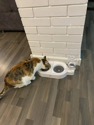 Миска для кошек и собак со встроенной поилкой ELS Pet 500 мл Белый (00858) фото от покупателей 18