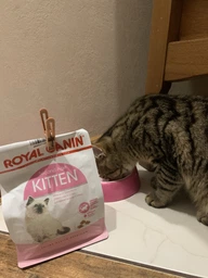 Сухий корм Royal Canin Kitten з птицею для кошенят до 12 міс 400г