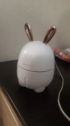 Увлажнитель воздуха зайчик Rabbit 2в1 на 300 мл детский мини персональный LED ароматизатор c подсветкой белый фото от покупателей 14