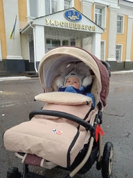Зимовий конверт-чохол на овчині в коляску,на санки For Kids Mini (Коричневий) фото від покупців 18