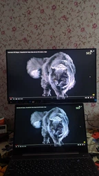 Монитор 23.8" Philips E-Line 246E9QDSB/00/01 IPS, 75Hz, FreeSync, VESA фото от покупателей 7