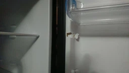 Двухкамерный холодильник INDESIT LI8 FF2 K фото от покупателей 7