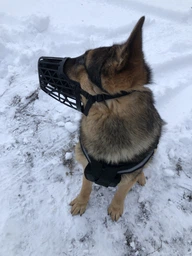 Trixie Muzzle намордник для собак L - чорний фото от покупателей 16
