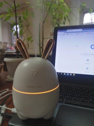 Увлажнитель воздуха зайчик Rabbit 2в1 на 300 мл детский мини персональный LED ароматизатор c подсветкой белый фото от покупателей 11