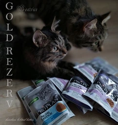 Упаковка вологого корму для кошенят Purina Pro Plan Kitten Healthy Start шматочки в соусі з індичкою 26 шт по 85 г (7613287107503) фото від покупців 19