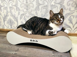 Кігтеточка дряпка з гофрокартону лежанка для котів з картонним фасадом Cat Joy Modern Whitish 54x13x25 см фото від покупців 2
