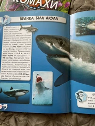 Світ навколо нас. Акули (9789669369147) фото от покупателей 2